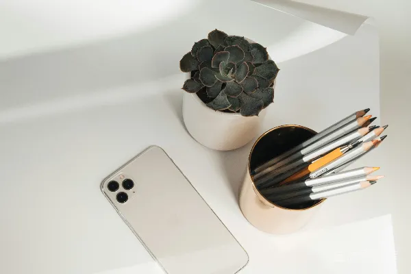 高清摄影 太空灰色的iPhone 6放在白色陶瓷花瓶旁边。