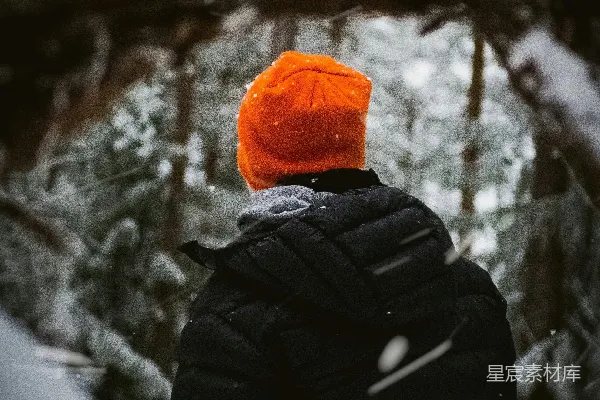 高清摄影 一个站在雪中的森林中的人