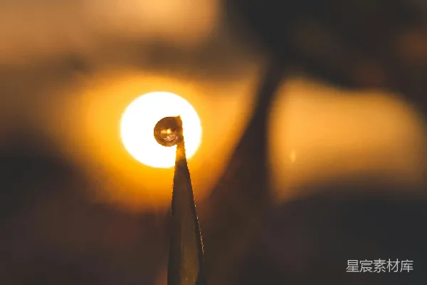 高清摄影 一盏灯泡的特写镜头，背景是太阳。