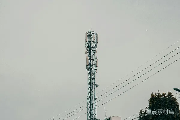 高清摄影 白天，白色混凝土建筑旁边有一棵绿树。