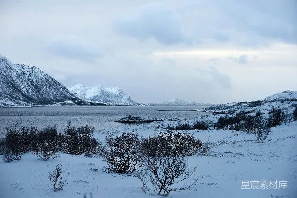 背景中有山的雪景