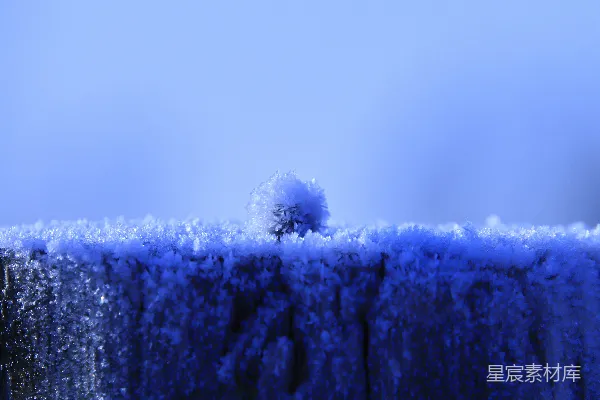 高清摄影 一只鸟停在覆盖着雪的木柱上。