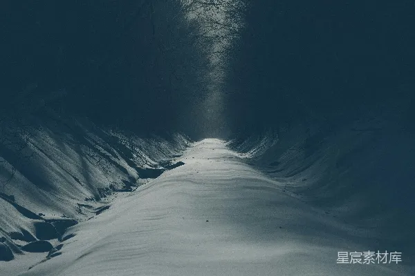 高清摄影 白天，树木之间覆盖着积雪的空旷道路。