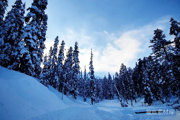 覆盖着白雪的道路周围是树木，在蓝天的背景下。