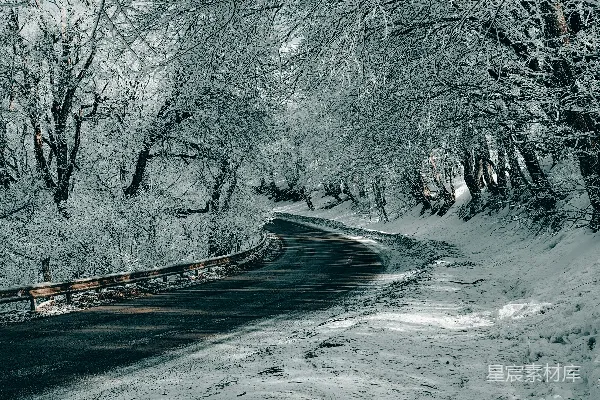 高清摄影 一条被雪覆盖的道路，两侧都是树木。