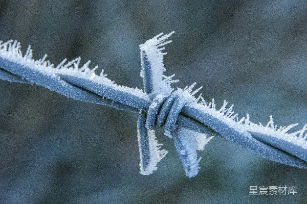 高清摄影 铁丝网的特写，上面覆盖着雪。