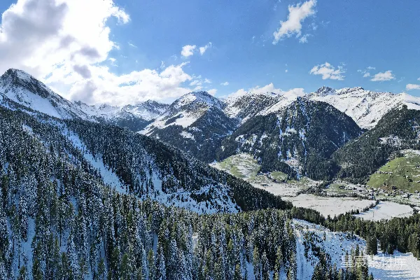 高山白雪覆盖下绿松树在蓝天正午的日光中