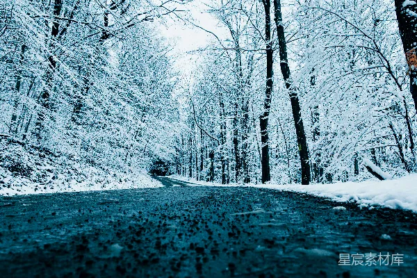 高清摄影 白天树木间覆盖着雪的路面