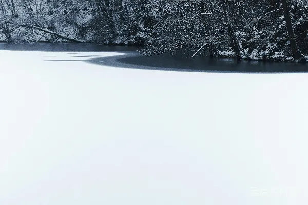 高清摄影 覆盖着雪的田野，有树木和水域。