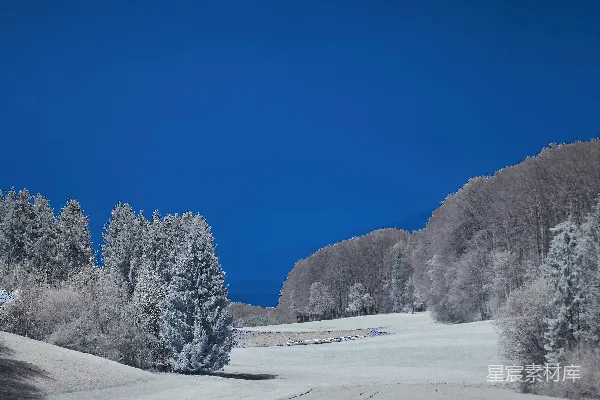 高清摄影 白天覆盖着积雪的树木和山脉