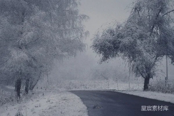 高清摄影 一条路穿过雪地