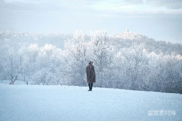 高清摄影 一个人站在树旁的雪地上，白天拍摄。