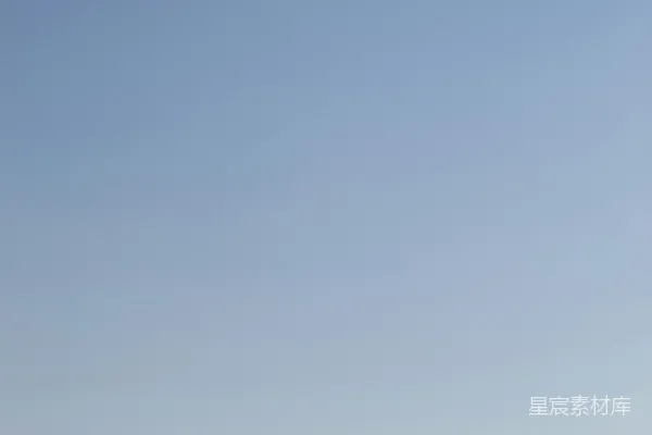 高清摄影 在一片雪地里，一棵孤独的树矗立在晴朗的天空下。