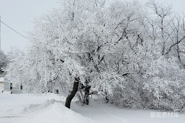 高清摄影 穿着黑色夹克和黑色裤子的人在白天雪地上行走。