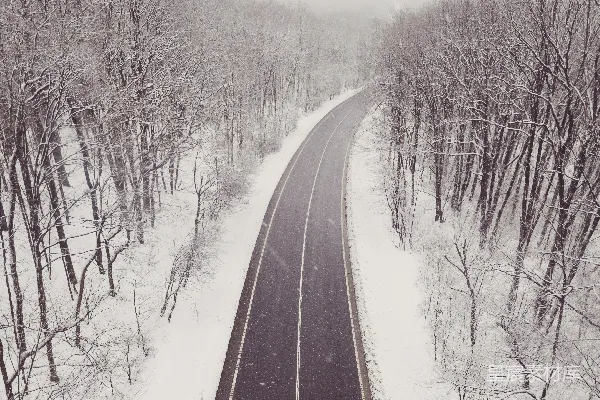 高清摄影 一条路穿过雪中的森林