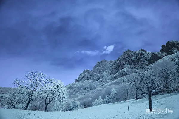 高清摄影 白雪覆盖的树木和山峦在深蓝色的天空下