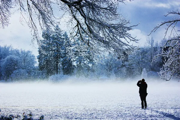 高清摄影 一个人站在雪地里，靠近一棵树。