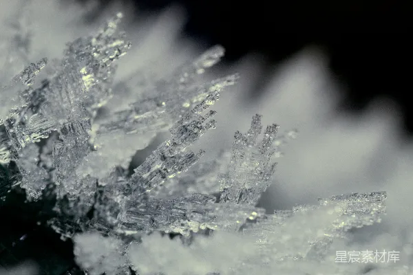 高清摄影 一张黑色背景下的雪花特写照片
