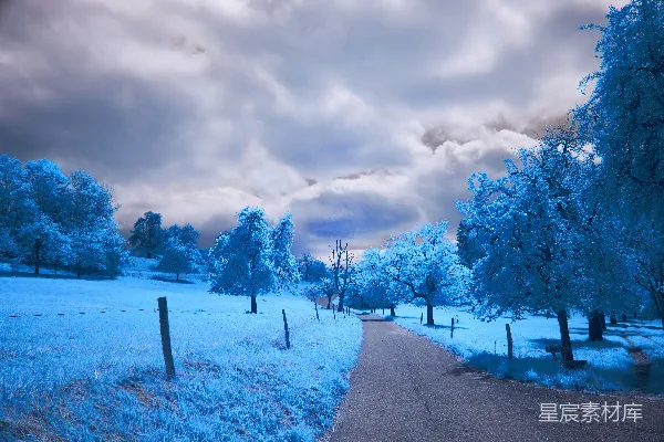高清摄影 蓝色的风景，有树木和一条道路。