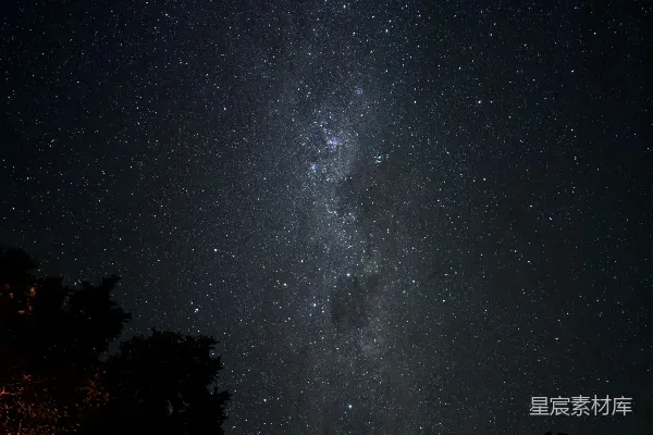 夜晚透过树木看到的银河 galaxy在夜晚透过树木中的景象