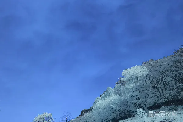 高清摄影 带有白色树木的山丘的伪彩色景观。