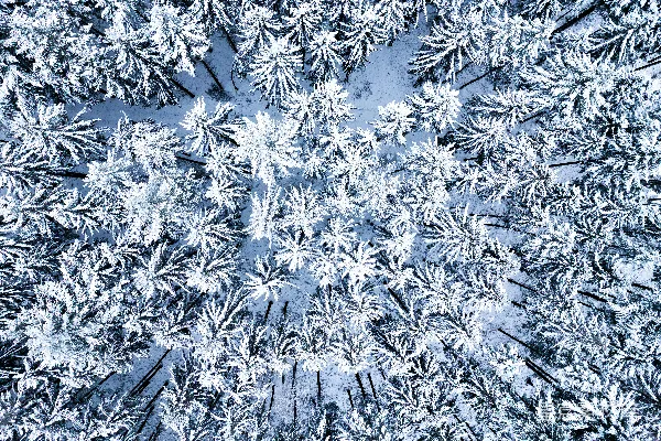 高清摄影 一张覆盖着积雪的森林的俯瞰图