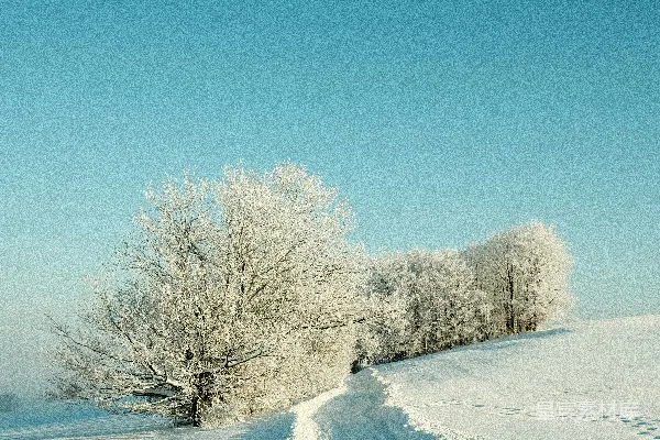 高清摄影 一条覆盖着雪的路，远处有树木。