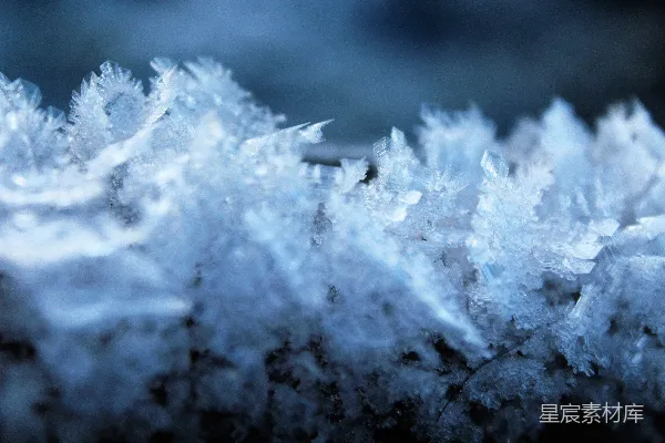 高清摄影 一堆雪花的特写照片