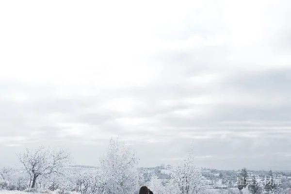 高清摄影 穿着黑色夹克的人站在被雪覆盖的地面上，白天。