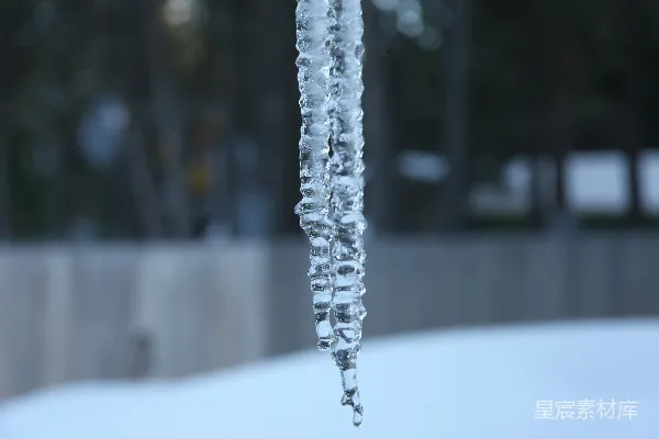 高清摄影 雪地里挂着的冰锥