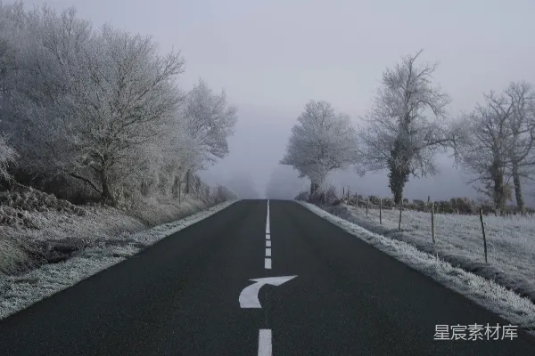高清摄影 树木之间的道路在白天