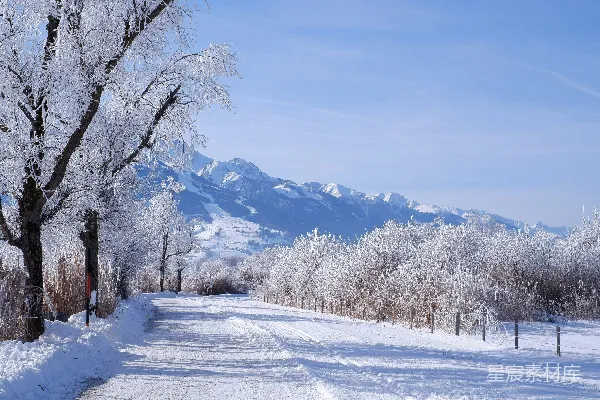 高清摄影 一条覆盖着积雪的道路，两旁是结霜的树木，远处是连绵的山脉。