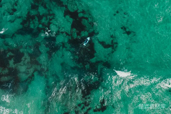 几人坐在冲浪板上在海边 surfing