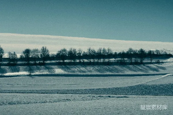 高清摄影 白天被雪覆盖的树木和道路