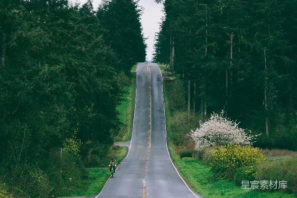 灰暗的混凝土道路旁有绿树。