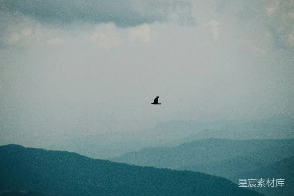 一只鸟在一片云层覆盖的山峦上空飞翔