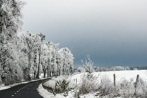 高清摄影 一条覆盖着雪的路，两旁是树木和栅栏。