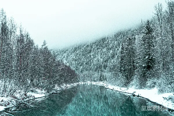 高清摄影 雪覆盖的树木之间的河流