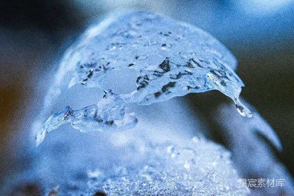 高清摄影 一片叶子上的水珠特写