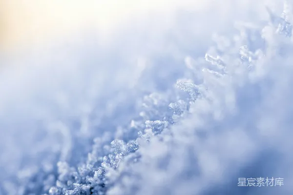 高清摄影 一张覆盖着雪的表面的特写照片。