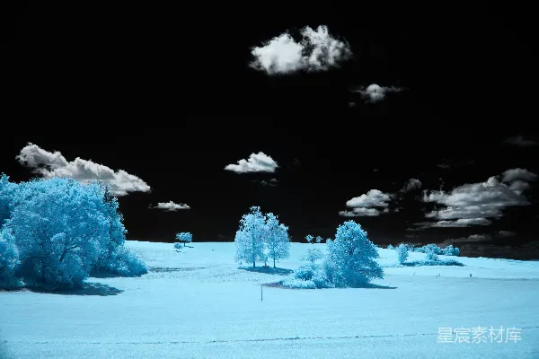 高清摄影 一片雪景，有树木和云朵在空中。