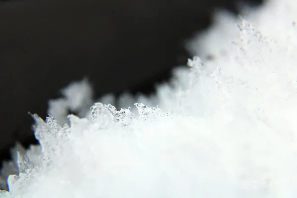 高清摄影 一个黑色表面上的白色物质的特写