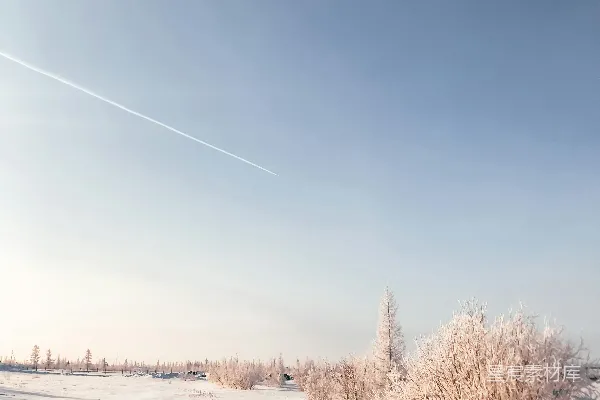高清摄影 白天，蓝天下覆盖着白雪的田野和树木
