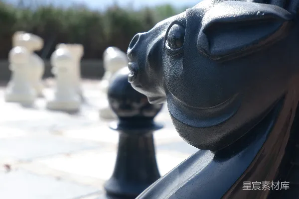 黑白棋盘及其上面的黑白棋子