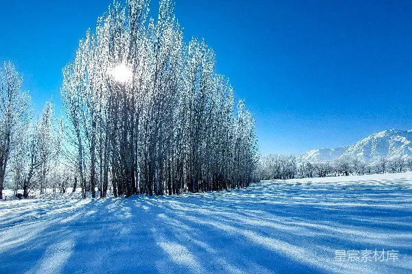 高清摄影 被雪覆盖的田野，背景中有树木和山脉。