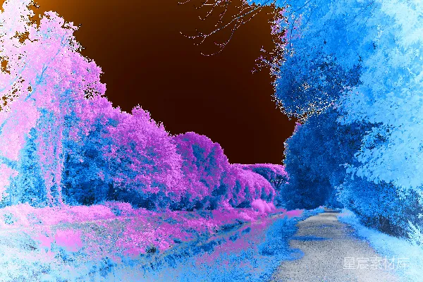 高清摄影 一张模糊的路的照片，背景中有树木。