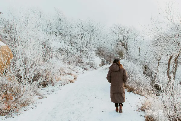 高清摄影 一个女人正走在覆盖着积雪的小路上。