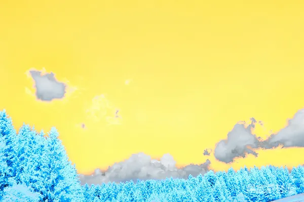 高清摄影 一个覆盖着雪的田野，树木在黄色的天空下。