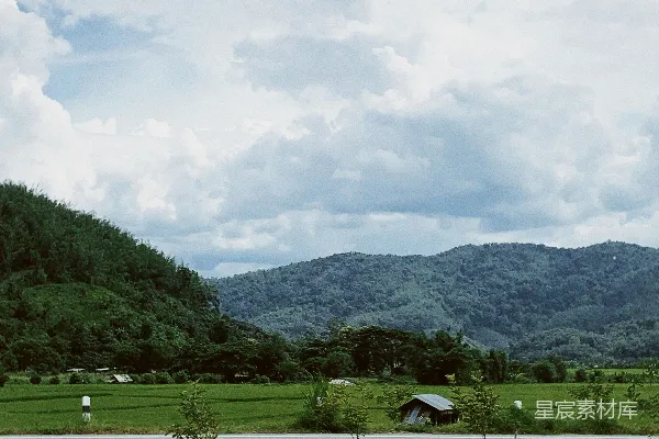 背景有树木和山脉的草地