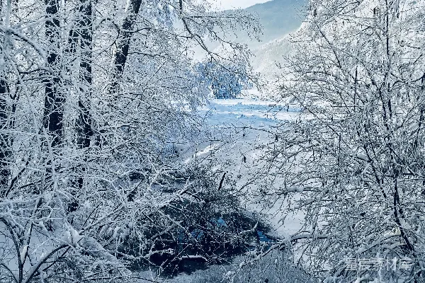 高清摄影 一条溪流穿过覆盖着积雪的森林